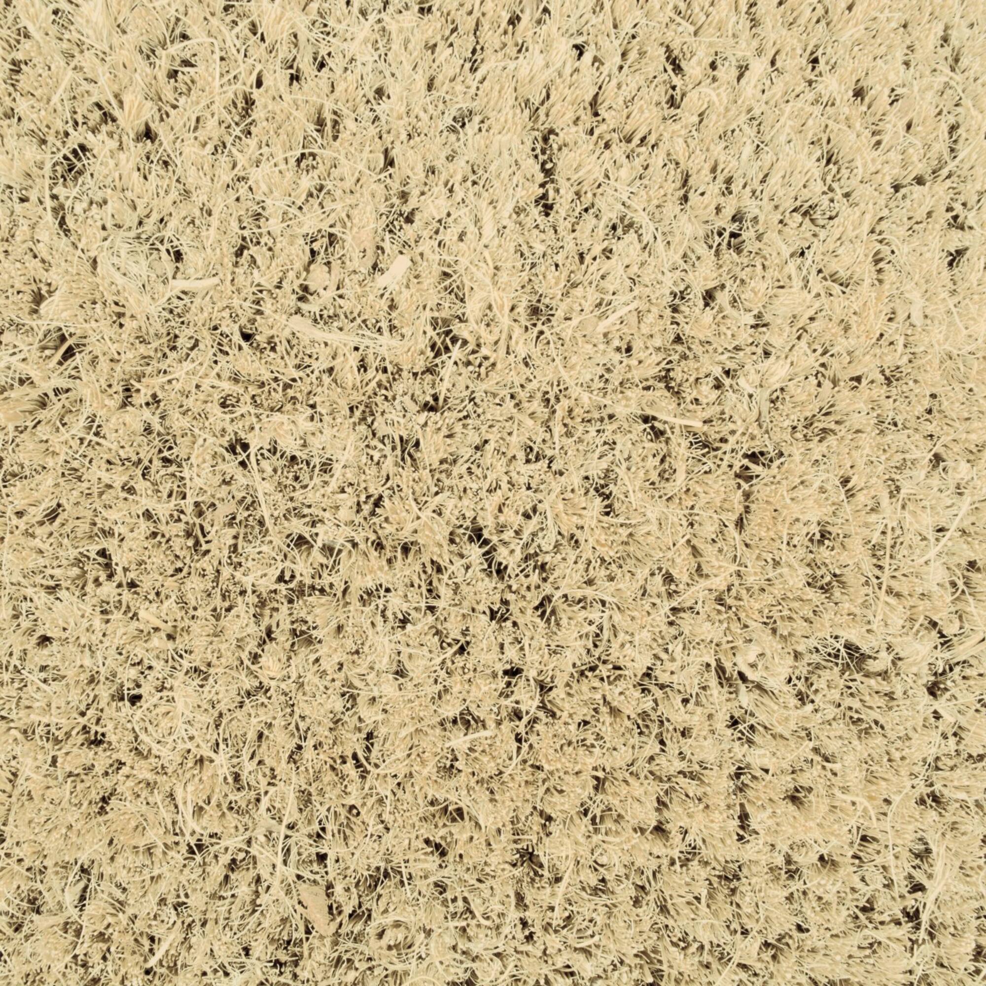 DII® It's Fall Y'all Doormat